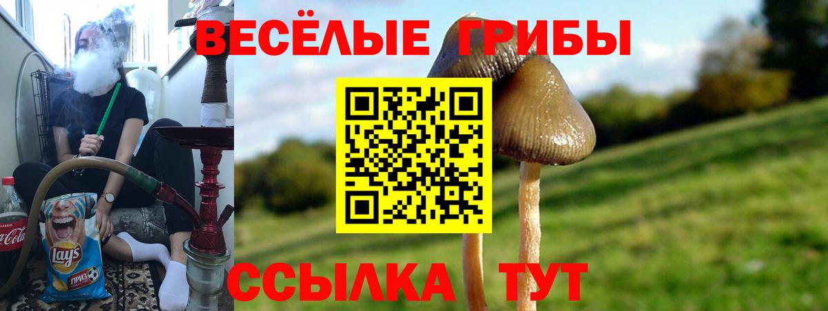 Нурлат  Псилоцибиновые грибы Magic Shrooms  Галлюциногенные грибы мухоморы  Вход с VPN 